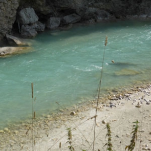 Wie an Isar und Main Hochwasserschutz und Renaturierung einhergehen