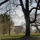 Der Botanische Garten München