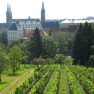 Weinberg Michaelsberg Bamberg