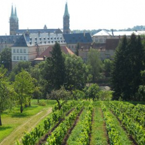 Weinberg am Michaelsberg Bamberg