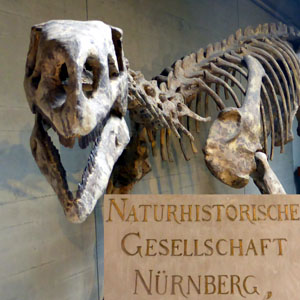 Naturhistorische Gesellschaft Nürnberg
